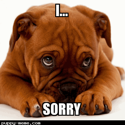 Im Sorry Dog Face